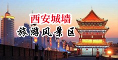 富婆插逼中国陕西-西安城墙旅游风景区